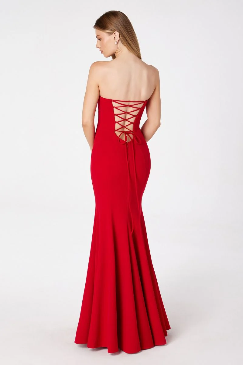 Poppy Maxi Dress - Strapless Fitted Dress - Image 4