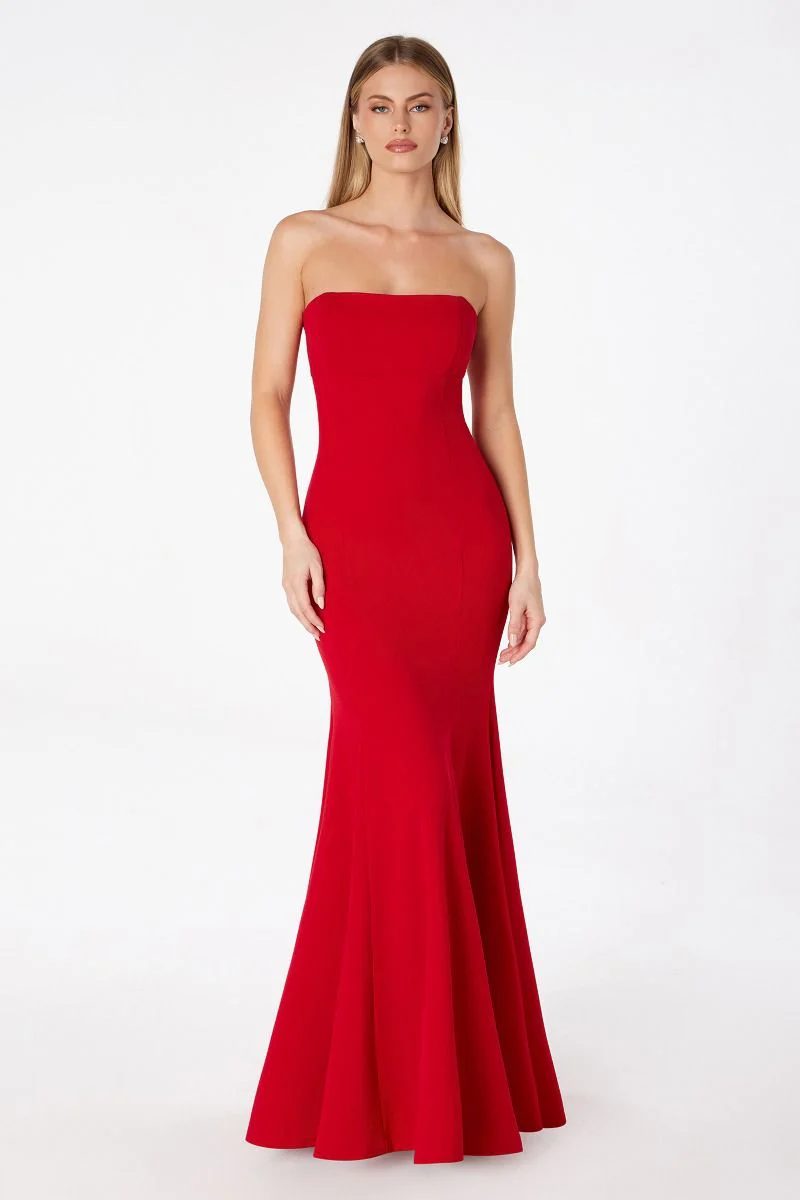 Poppy Maxi Dress - Strapless Fitted Dress - Image 5
