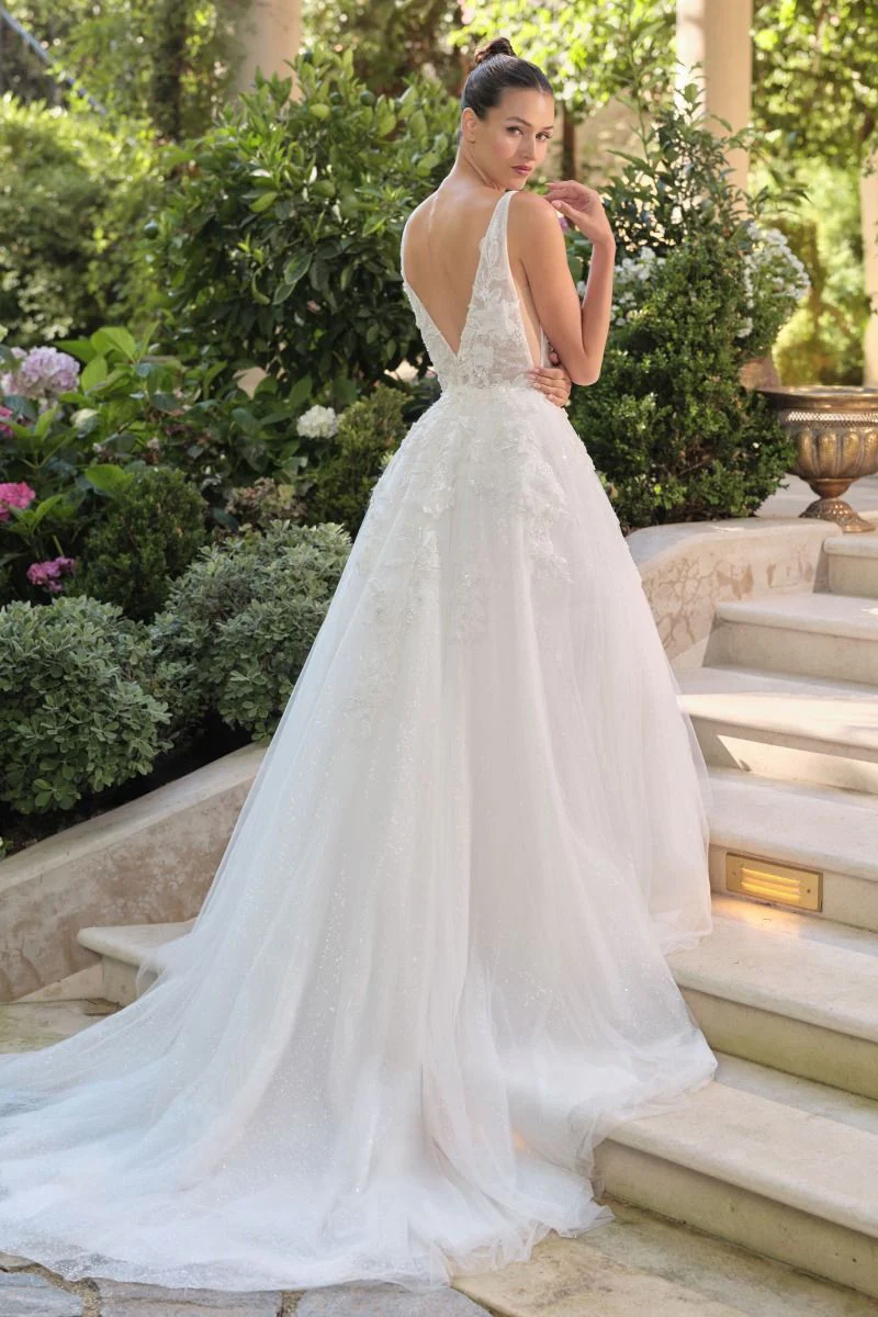 WL064 - Wedding Ball Gown - Andrea & Leo - Image 3