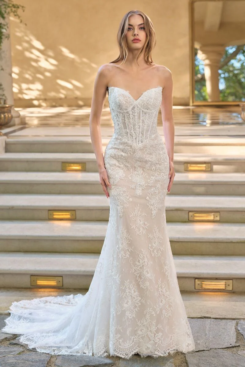 WL071 - Strapless Fit & Flare Wedding Gown with Bolero - Andrea & Leo - Image 2