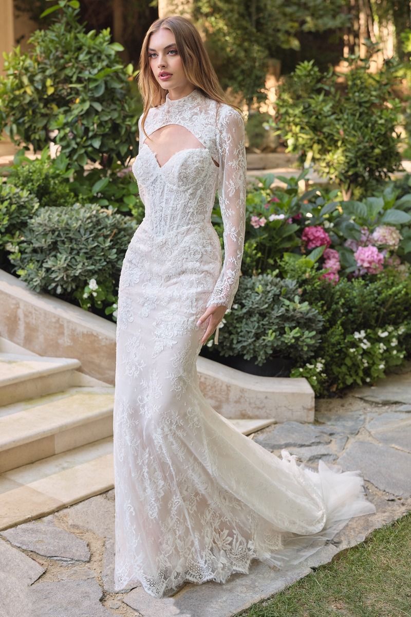 WL071 - Strapless Fit & Flare Wedding Gown with Bolero - Andrea & Leo - Image 5