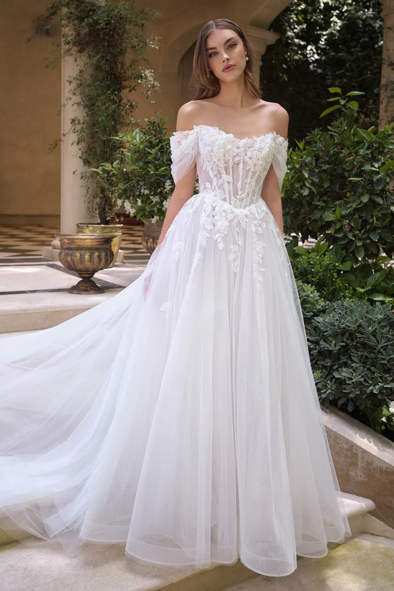 WL089 - Wedding Ball Gown - Andrea & Leo