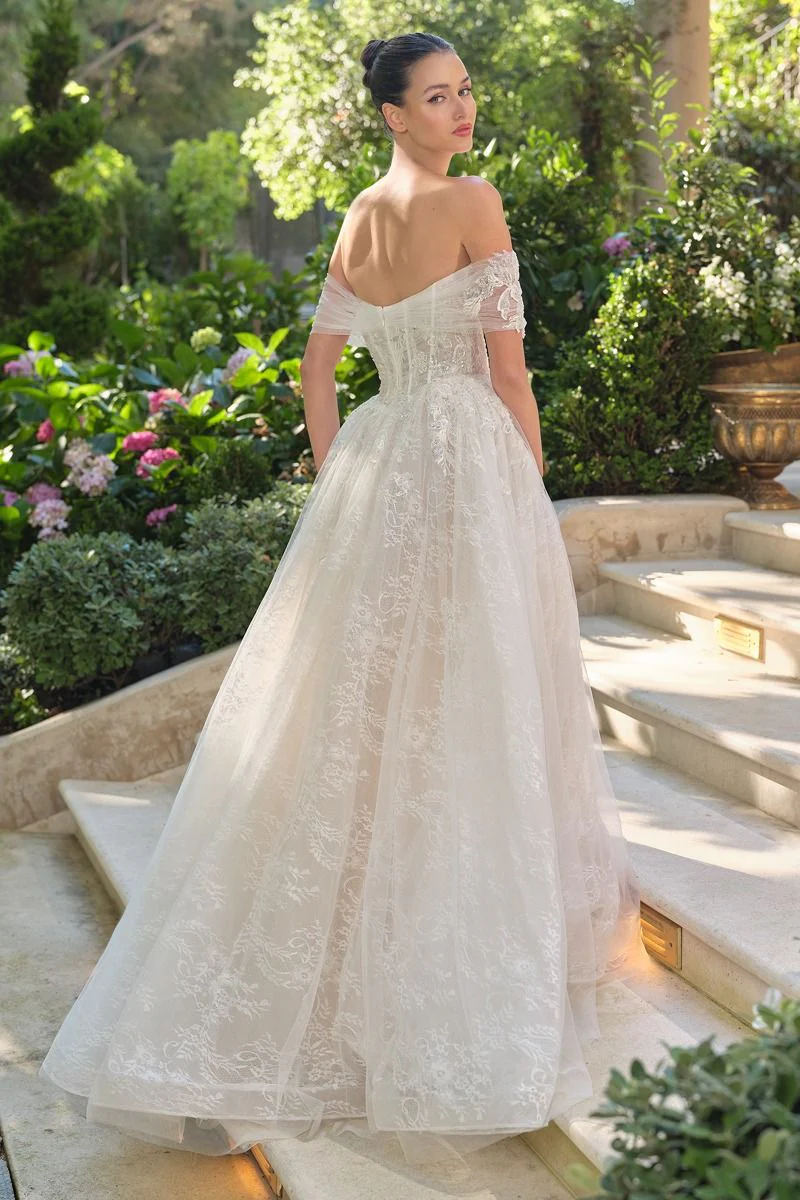 WL090 - Wedding Ball Gown - Andrea & Leo - Image 5